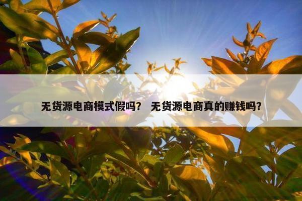 无货源电商模式假吗？ 无货源电商真的赚钱吗？