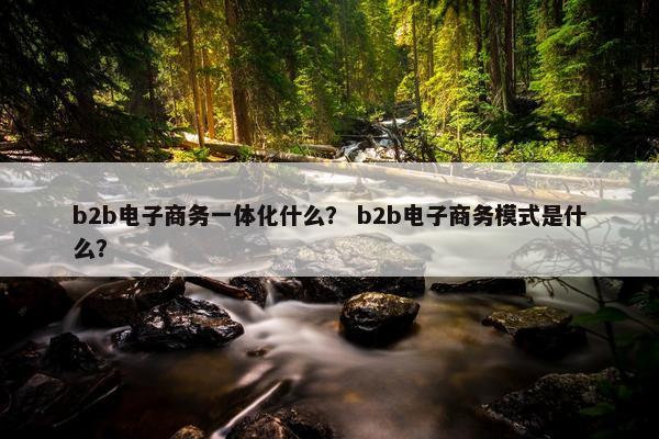 b2b电子商务一体化什么？ b2b电子商务模式是什么？