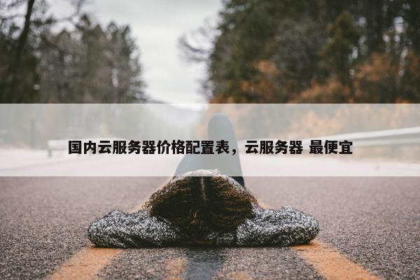 国内云服务器价格配置表，云服务器 最便宜