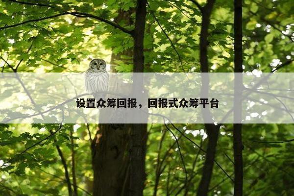 设置众筹回报，回报式众筹平台