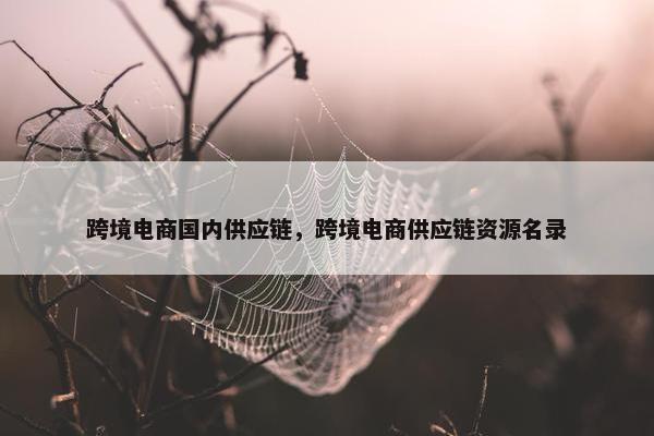 跨境电商国内供应链，跨境电商供应链资源名录