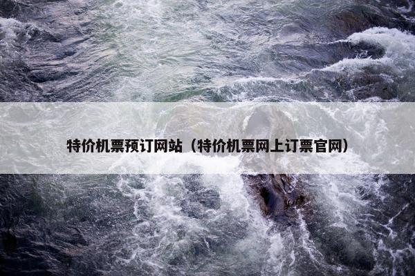 特价机票预订网站（特价机票网上订票官网）