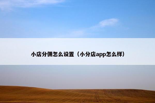 小店分佣怎么设置（小分店app怎么样）