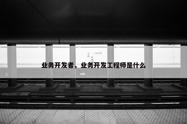 业务开发者，业务开发工程师是什么