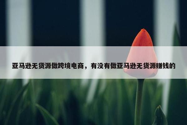 亚马逊无货源做跨境电商，有没有做亚马逊无货源赚钱的