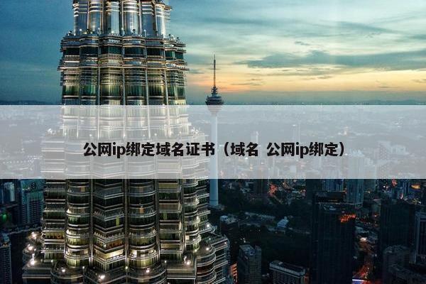 公网ip绑定域名证书（域名 公网ip绑定）