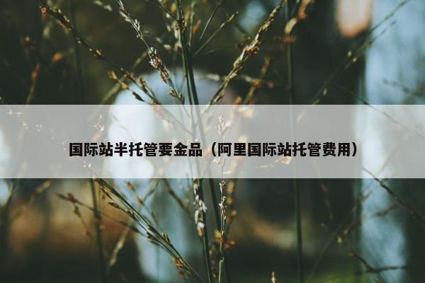 国际站半托管要金品（阿里国际站托管费用）