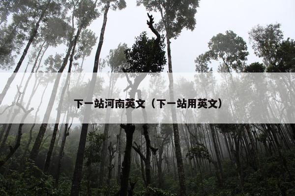 下一站河南英文（下一站用英文）
