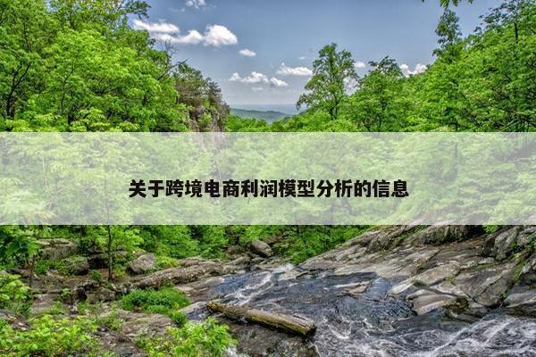 关于跨境电商利润模型分析的信息