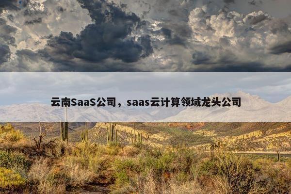 云南SaaS公司，saas云计算领域龙头公司