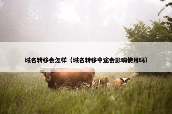 域名转移会怎样（域名转移中途会影响使用吗）