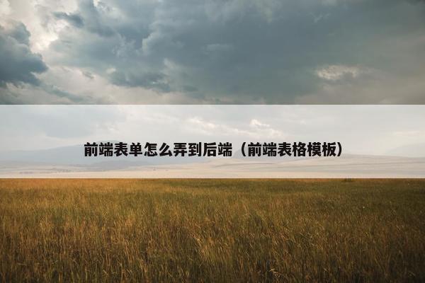 前端表单怎么弄到后端（前端表格模板）