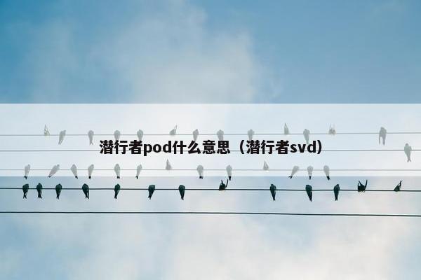 潜行者pod什么意思（潜行者svd）