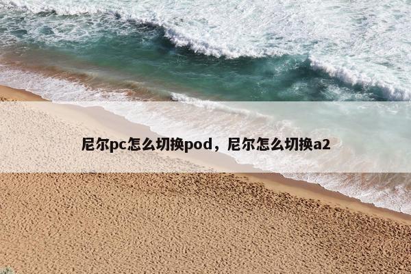 尼尔pc怎么切换pod，尼尔怎么切换a2