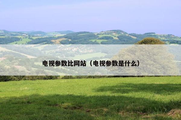 电视参数比网站（电视参数是什么）