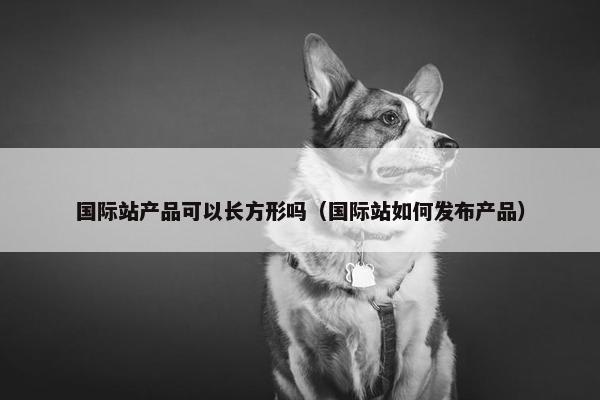 国际站产品可以长方形吗（国际站如何发布产品）