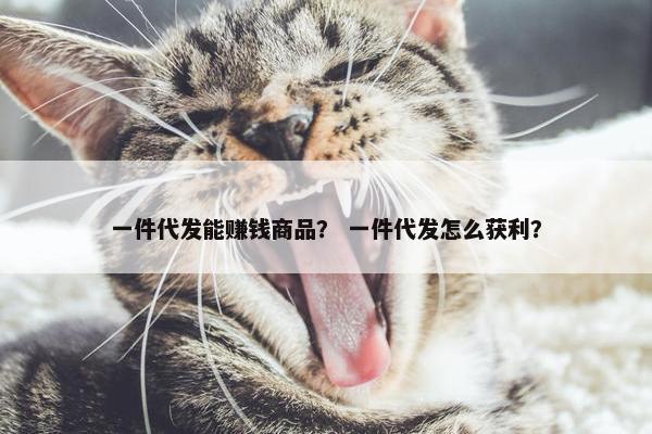 一件代发能赚钱商品？ 一件代发怎么获利？