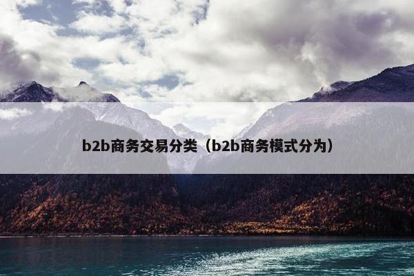 b2b商务交易分类（b2b商务模式分为）