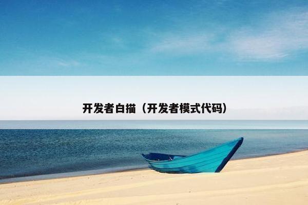 开发者白描（开发者模式代码）