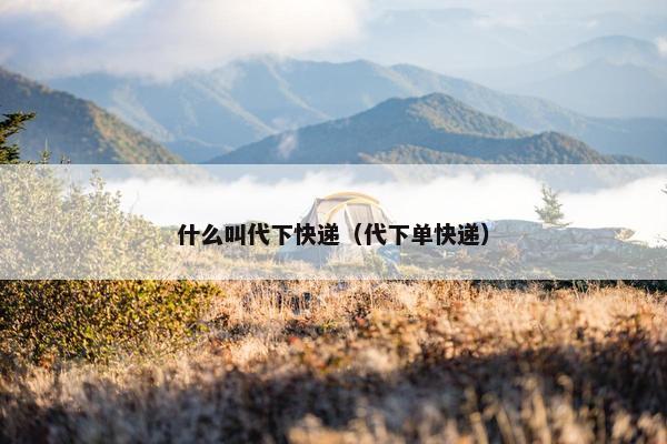 什么叫代下快递（代下单快递）