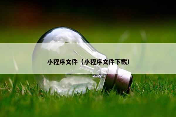 小程序文件（小程序文件下载）