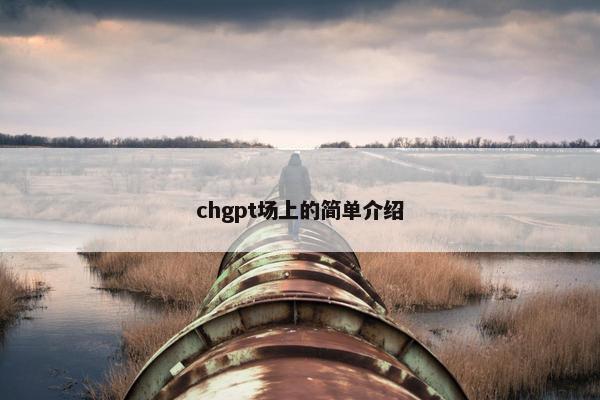 chgpt场上的简单介绍