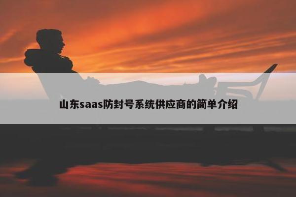 山东saas防封号系统供应商的简单介绍