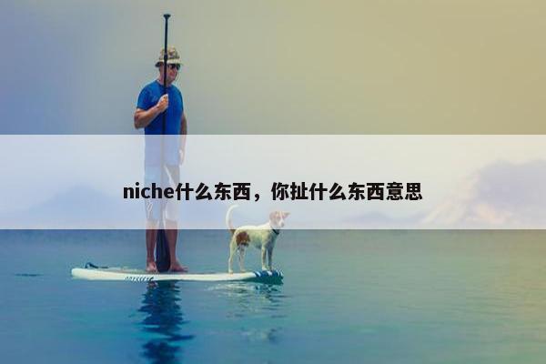 niche什么东西，你扯什么东西意思