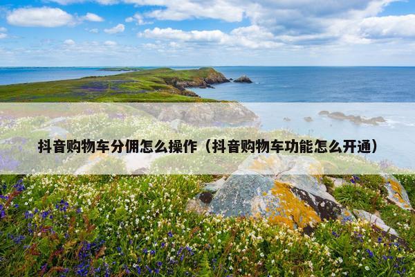 抖音购物车分佣怎么操作（抖音购物车功能怎么开通）