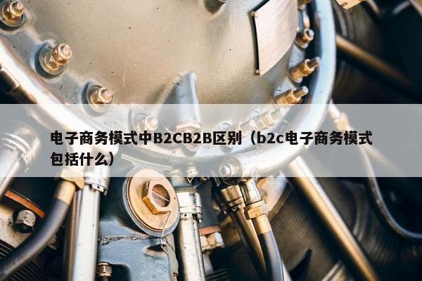 电子商务模式中B2CB2B区别（b2c电子商务模式包括什么）