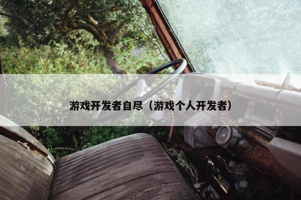 游戏开发者自尽（游戏个人开发者）