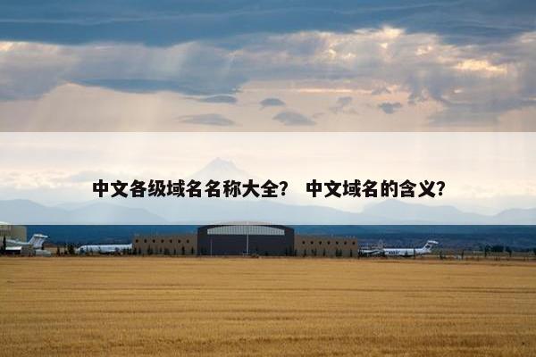 中文各级域名名称大全？ 中文域名的含义？