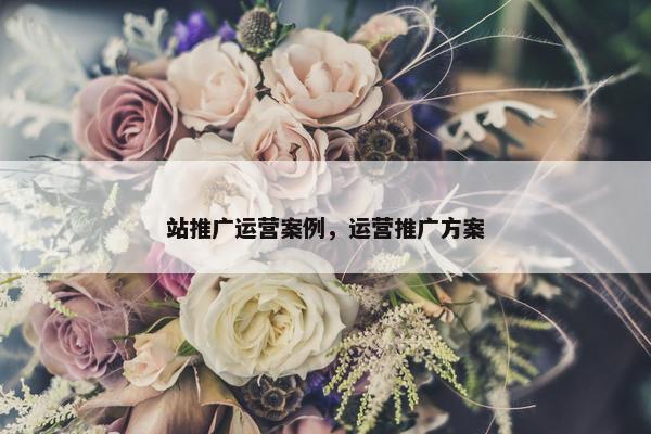 站推广运营案例，运营推广方案