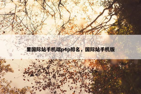 里国际站手机端p4p排名，国际站手机版