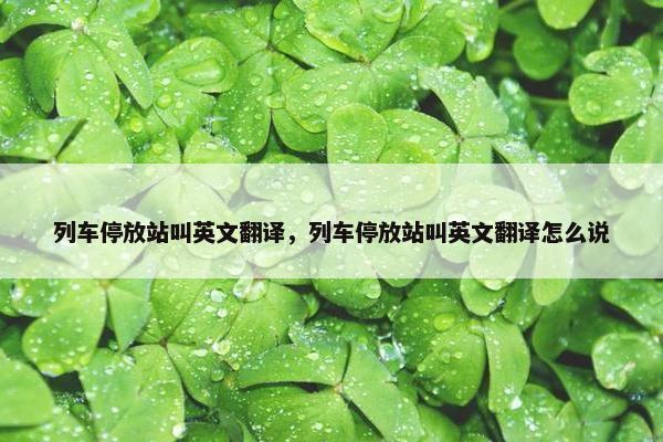 列车停放站叫英文翻译，列车停放站叫英文翻译怎么说