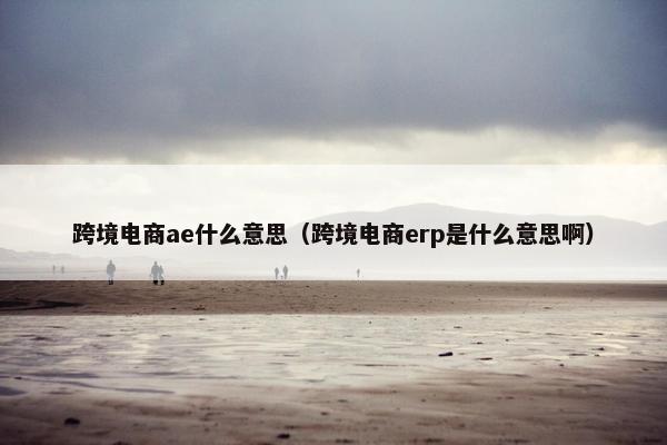 跨境电商ae什么意思（跨境电商erp是什么意思啊）