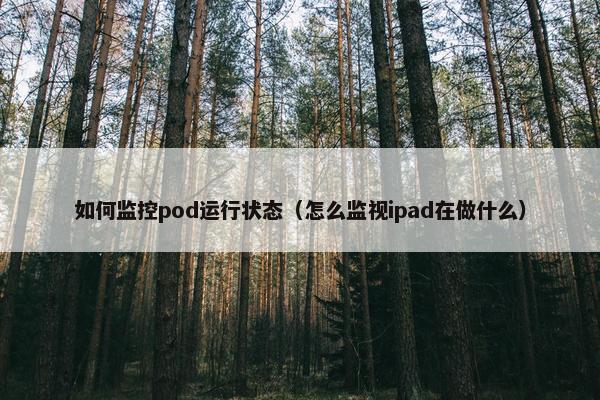 如何监控pod运行状态（怎么监视ipad在做什么）