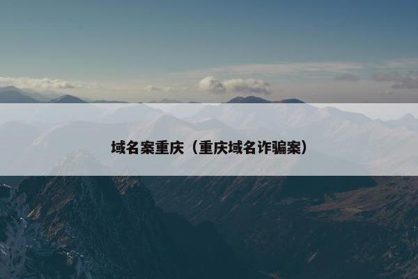 域名案重庆（重庆域名诈骗案）