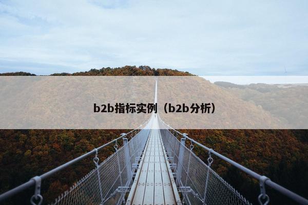 b2b指标实例（b2b分析）