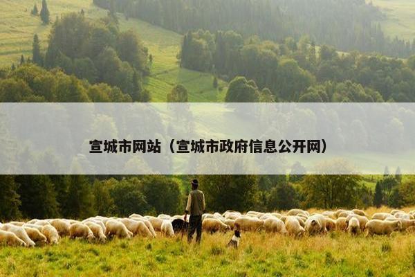 宣城市网站（宣城市政府信息公开网）