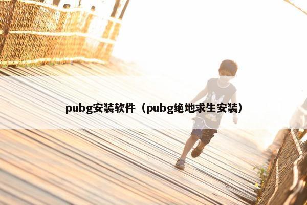 pubg安装软件（pubg绝地求生安装）