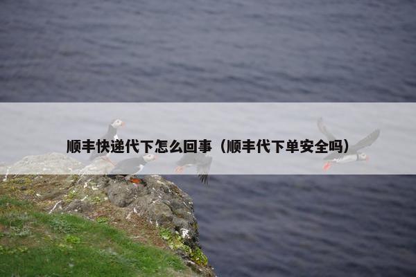 顺丰快递代下怎么回事（顺丰代下单安全吗）