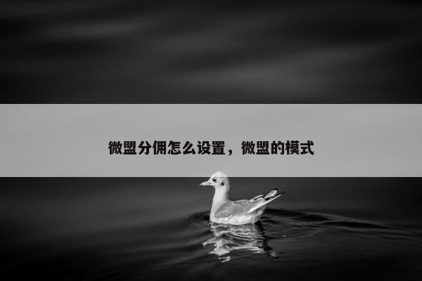 微盟分佣怎么设置，微盟的模式