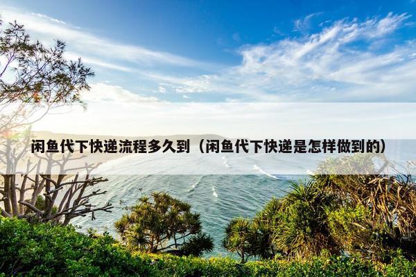 闲鱼代下快递流程多久到（闲鱼代下快递是怎样做到的）
