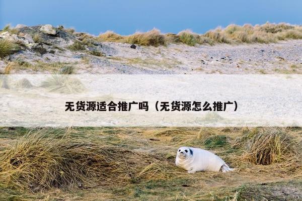 无货源适合推广吗（无货源怎么推广）