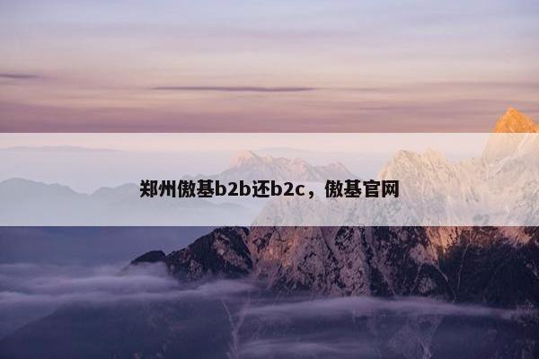 郑州傲基b2b还b2c，傲基官网