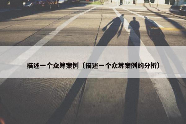 描述一个众筹案例（描述一个众筹案例的分析）