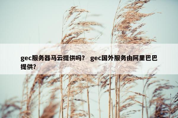 gec服务器马云提供吗？ gec国外服务由阿里巴巴提供？