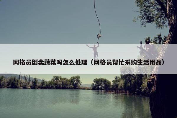 网格员倒卖蔬菜吗怎么处理（网格员帮忙采购生活用品）