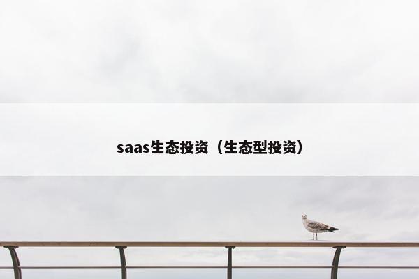 saas生态投资（生态型投资）